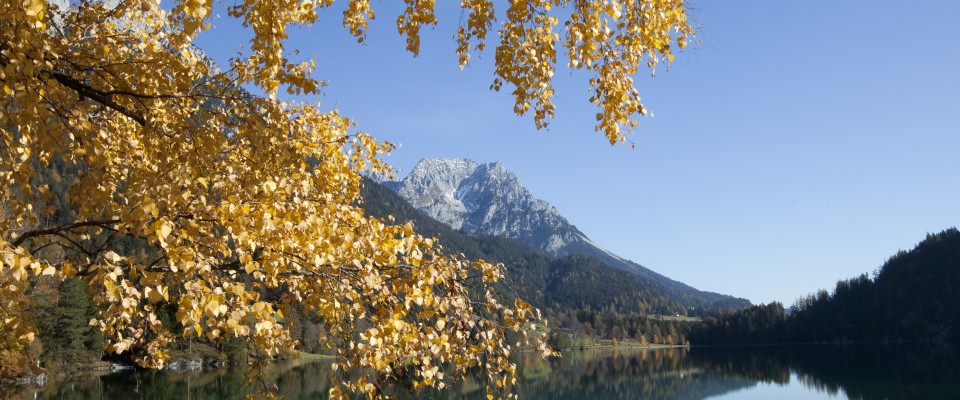 Herbststimmung Hintersteinersee Wilder Kaiser